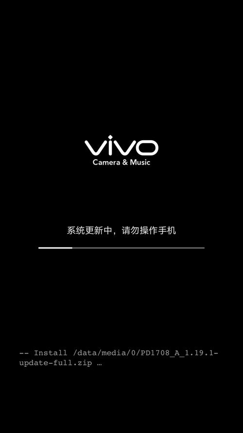 vivo手机更新系统出现英文怎么设置