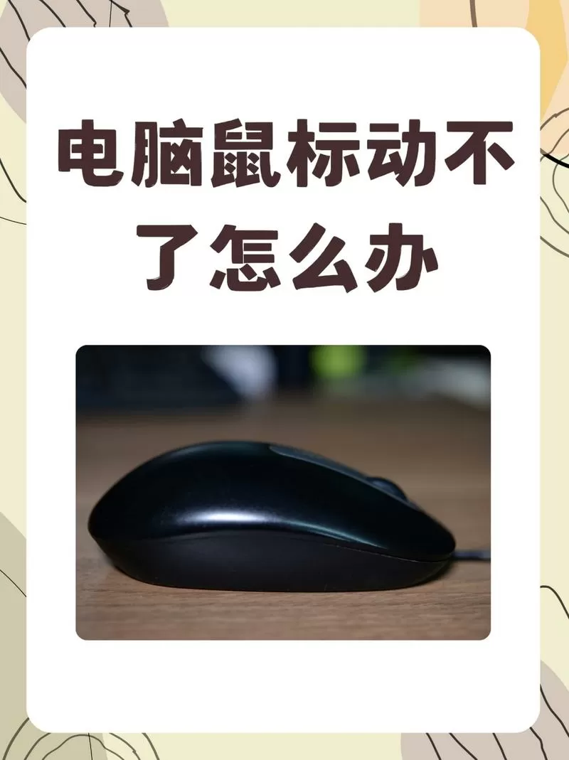 无线鼠标突然不动了是怎么回事