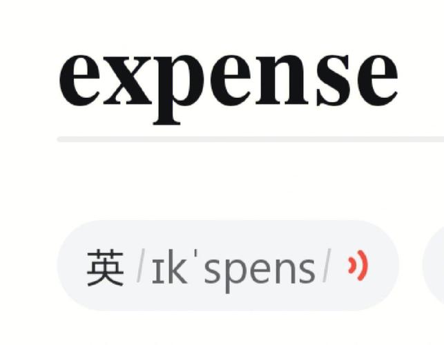 accountingfor翻译成英语图标