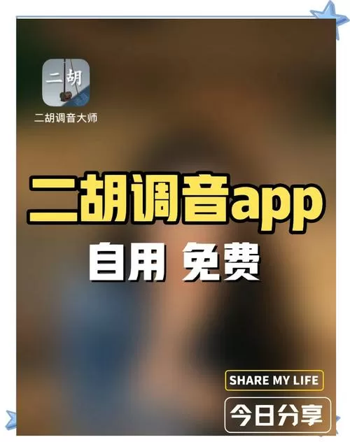 二胡免费版彩色调音器截图
