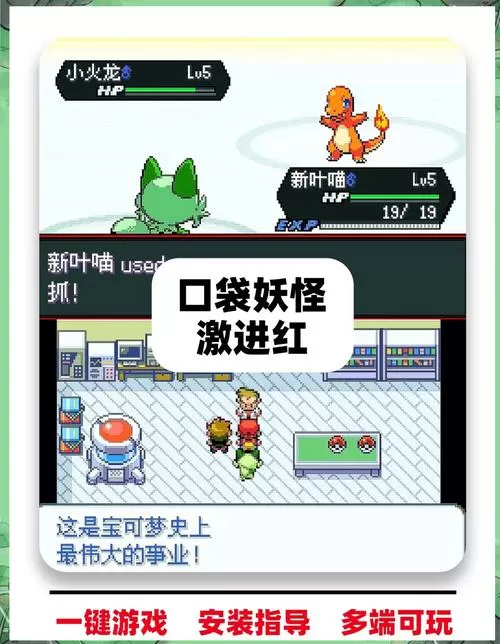 口袋妖怪激进红特性修改