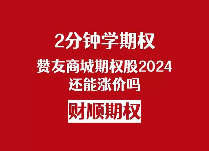 赞友期权2025能暴涨到多少