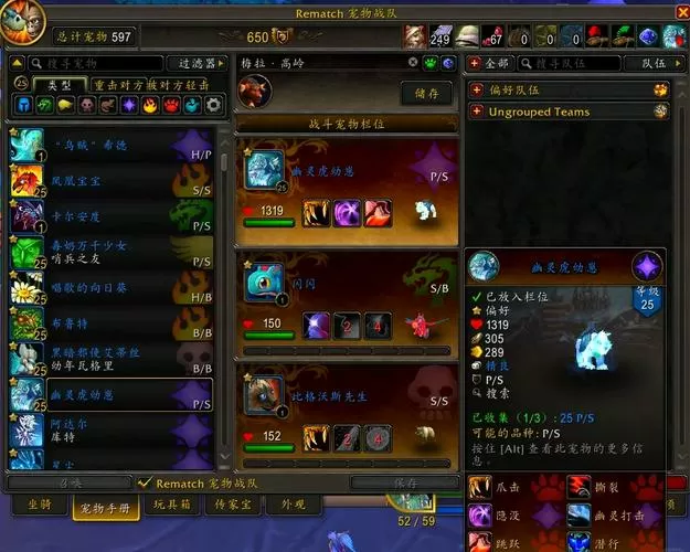 wow宠物升级攻略速刷25级
