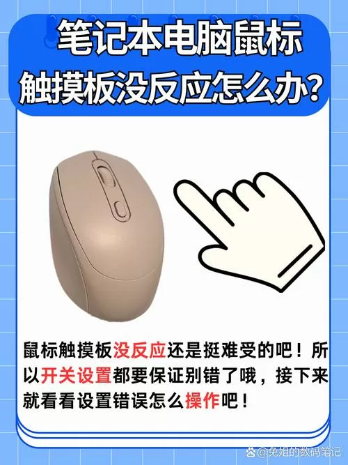 联想电脑上的鼠标触摸板没反应