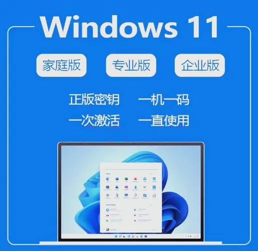 win10专业版在哪下载