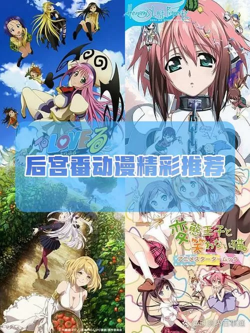 二次元后宫学园v0.9汉化版