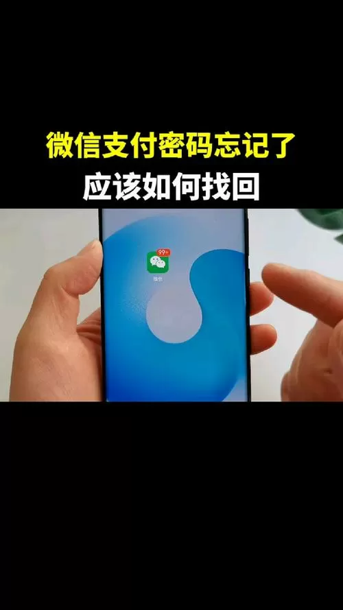非本人实名微信忘记支付密码