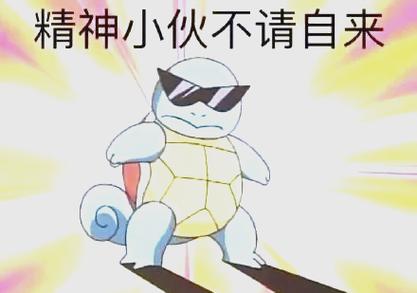 杰尼龟的梗有什么含义
