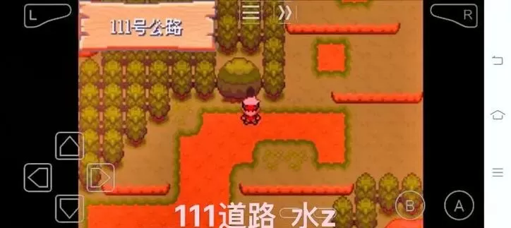 口袋妖怪绿宝石武斗镇怎么去