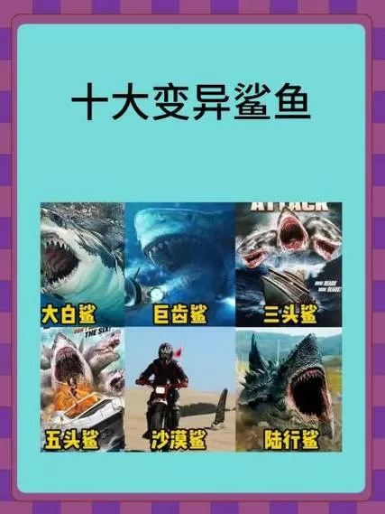鲨鱼1.1.1破解版最新版本更新内容