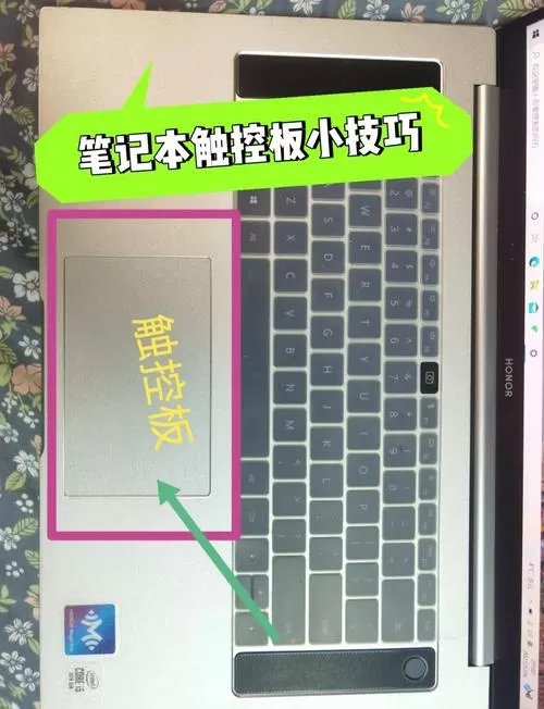 笔记本鼠标触摸板锁住了怎么解锁