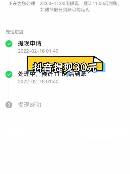 在抖音极速版赚的钱被别人提走了
