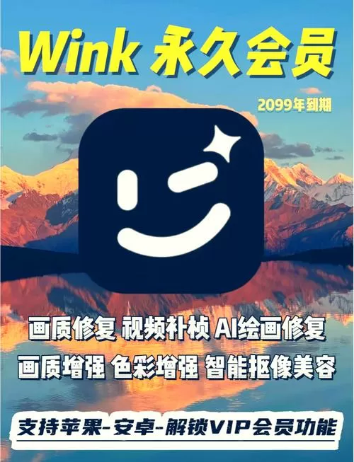 WinkVIP破解2099年