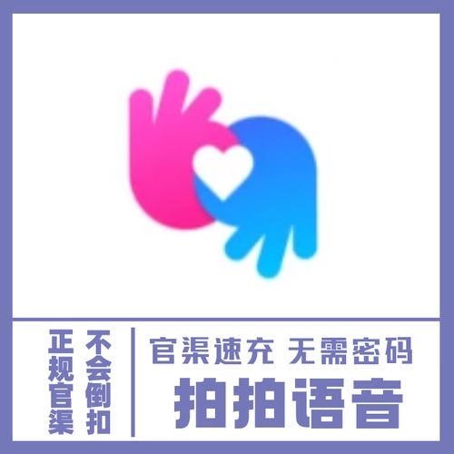 拍拍语音使用教程