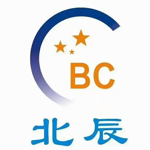 北辰子个人资料