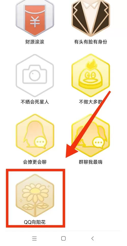 2025qq勋章墙不见了