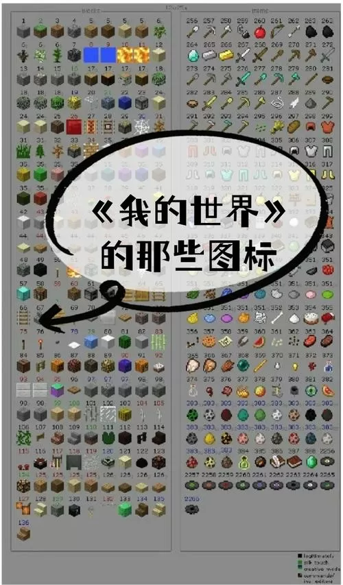我的世界最稀有的10种物品