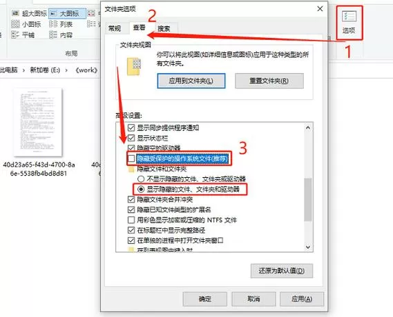 已隐藏的文件怎么找出来