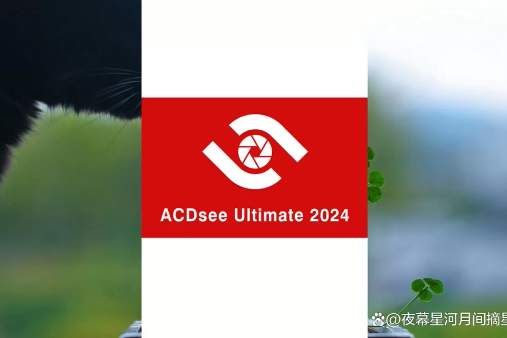 acdsee2024旗舰版文件大小