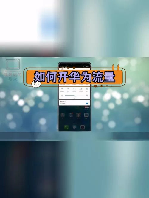 华为手机怎么看流量使用情况