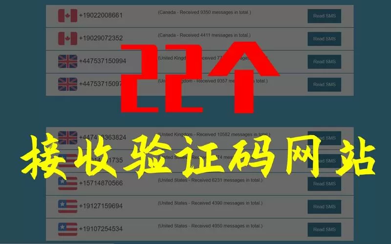 号码模拟器收到验证码