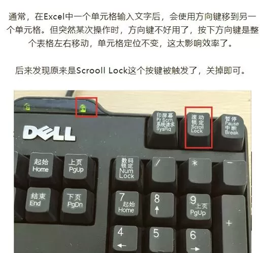 电脑键盘方向键不能移动怎么解决