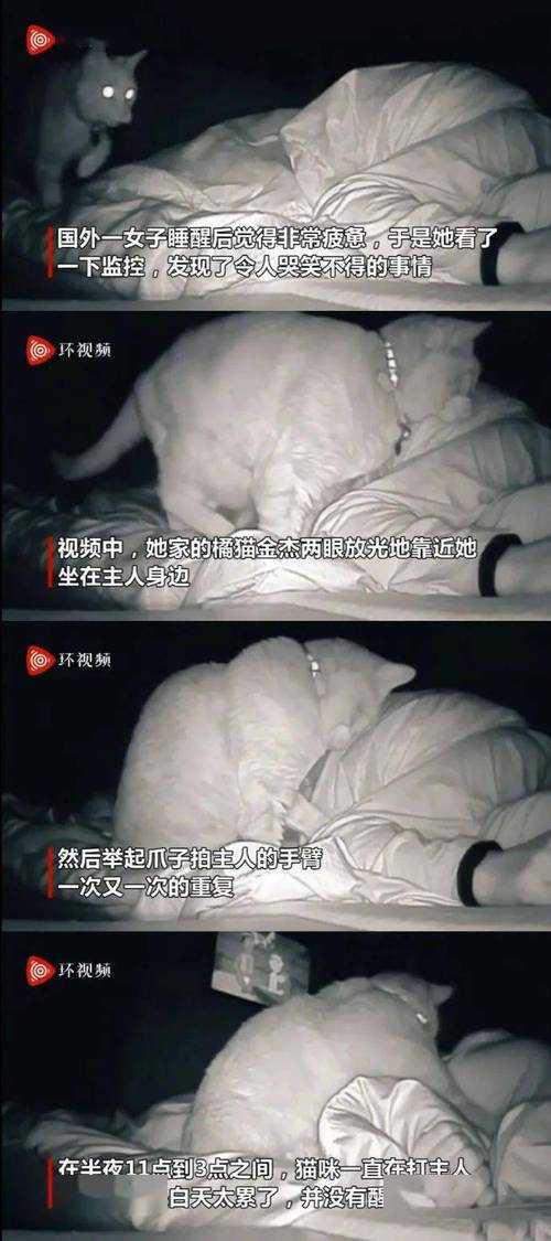 美女小鸡鸡的软件。