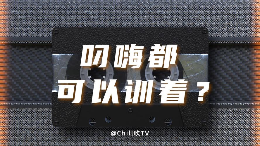 叼嗨软件永久不升级