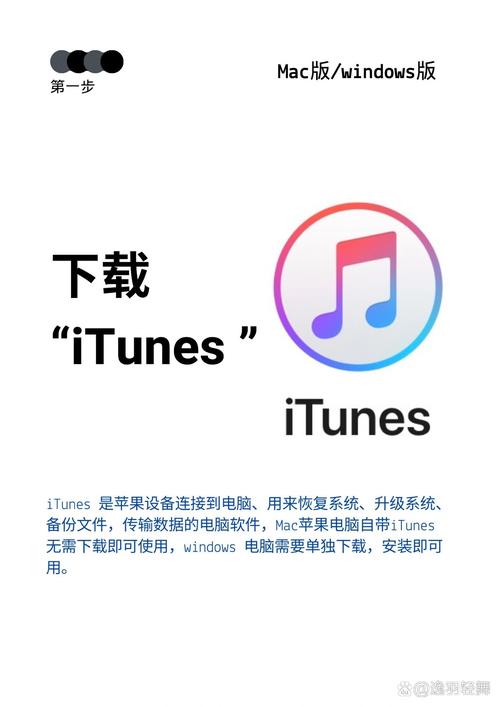iwara里版网页版