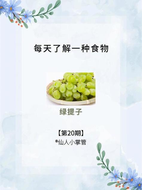 绿提子视频茄子影视