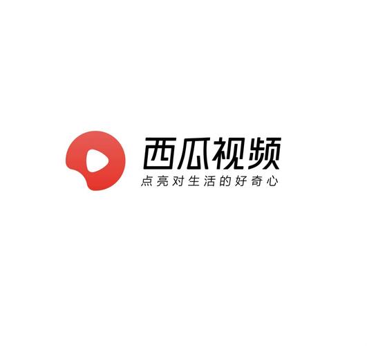 西瓜视频2020年旧版历史缩略图