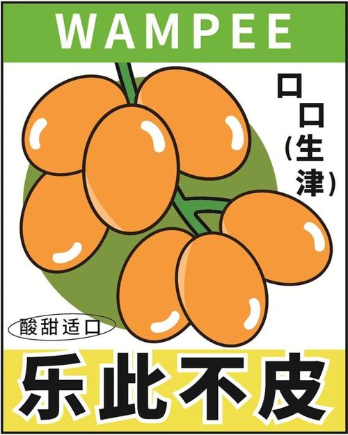 黄皮漫画无广告纯净版