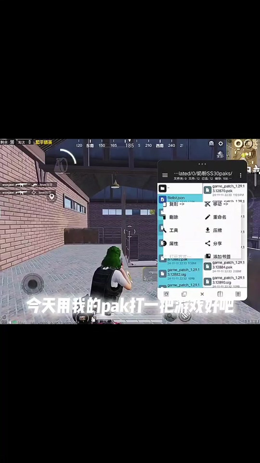 小月和平精英内部pakV2文件