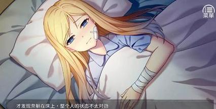 奈的调教日记冷狐版最新版