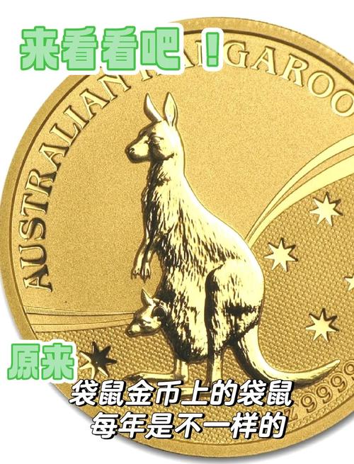 老鼠金币最新版本更新内容视频教程