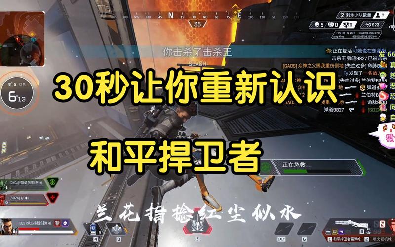 和平捍卫者