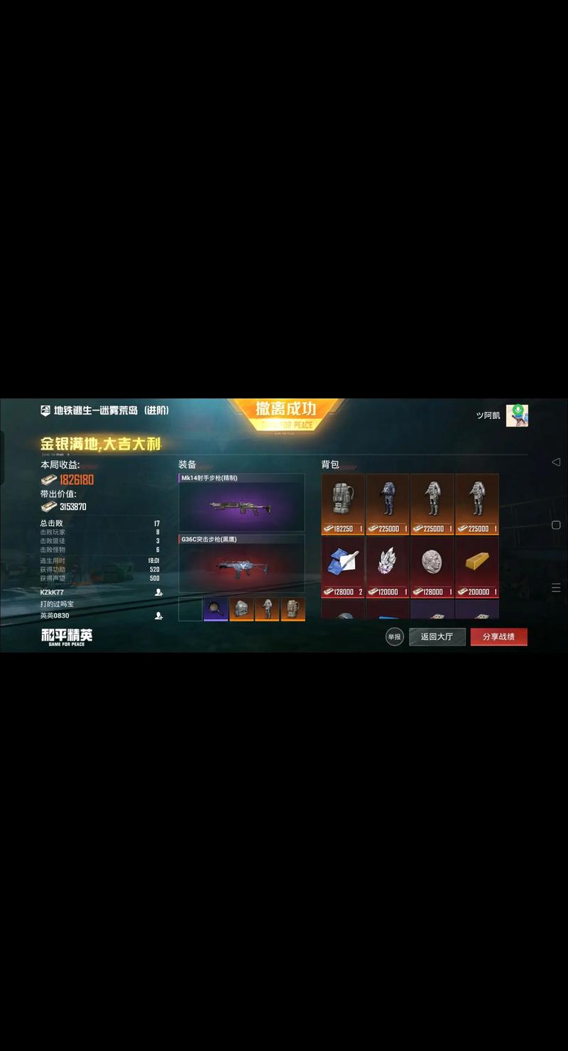 和平精英直装冰块黑色老版