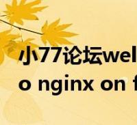 xiao77论坛游戏截图