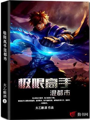 极限高手小说免费正版