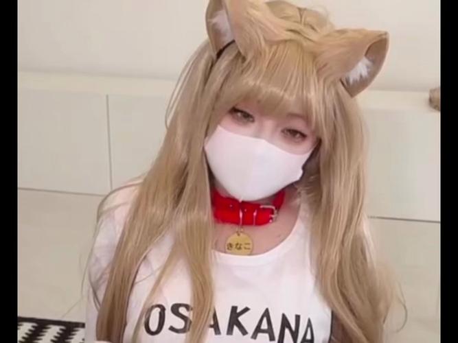 小欣奈vlog解锁版资源截图
