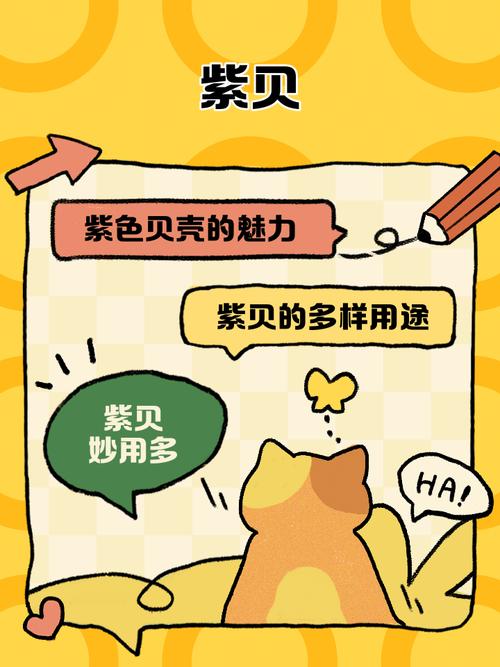 紫贝阅读最新版
