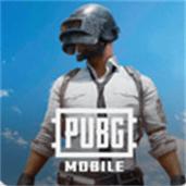 北辰PUBG轻体直装游戏截图