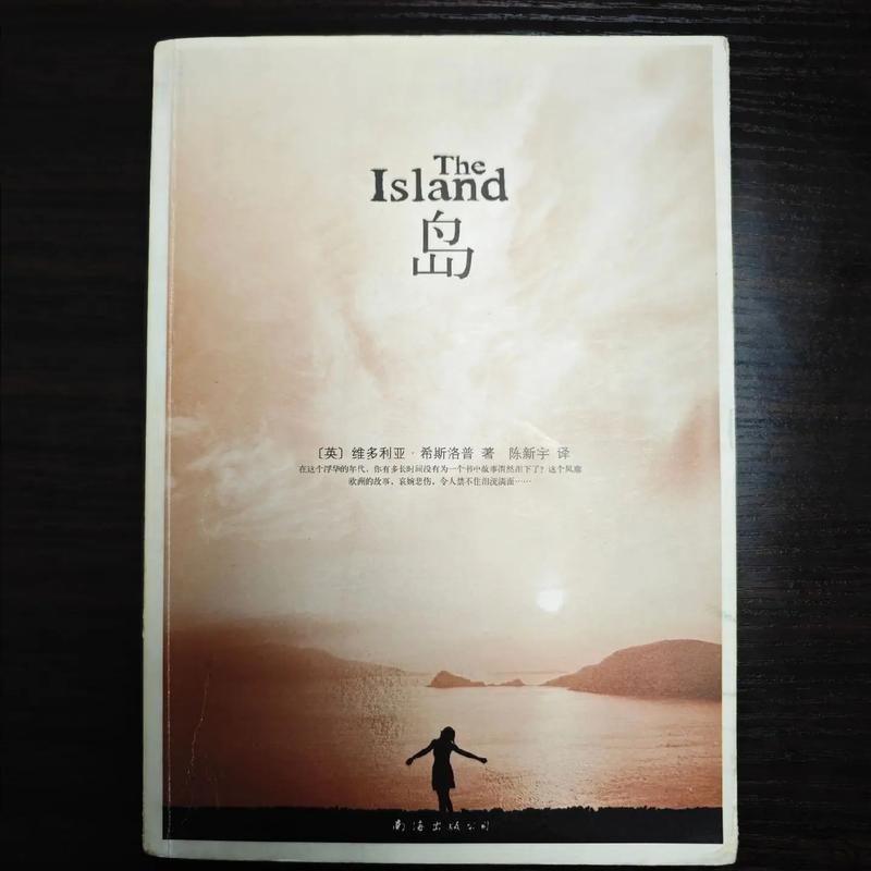 岛屿小说