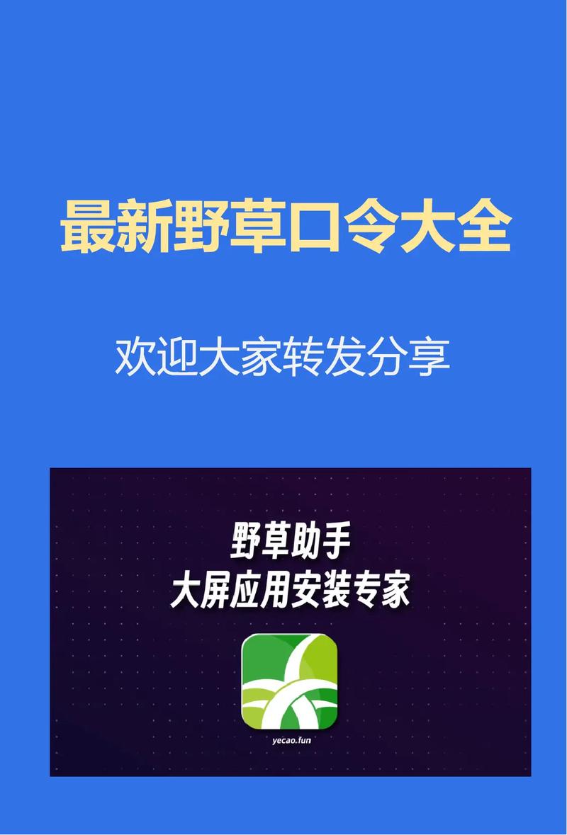 野草口令2025最新最新版