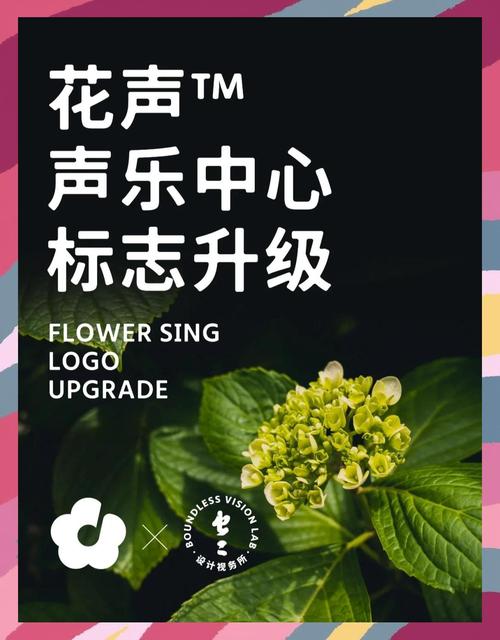 花声破解版