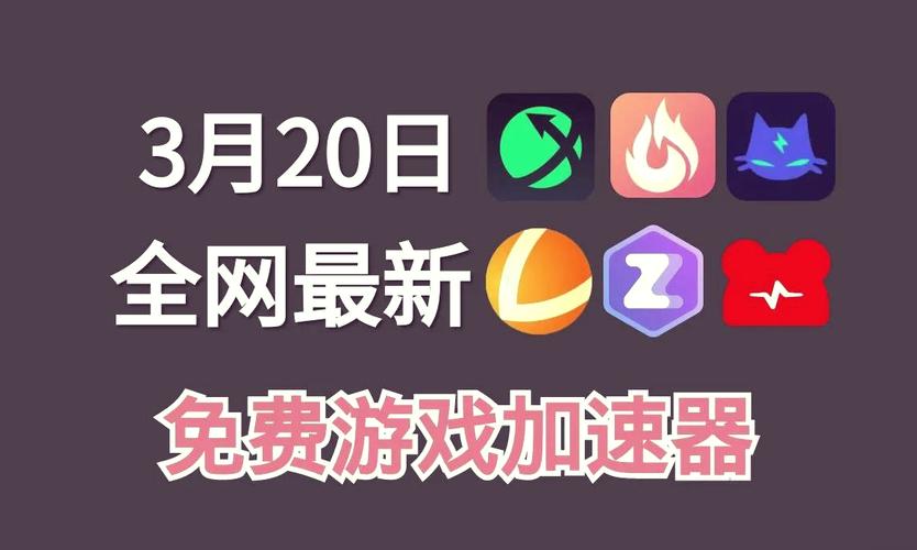 小熊加速器npv
