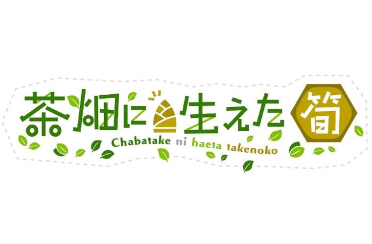 ts魔物岛平台
