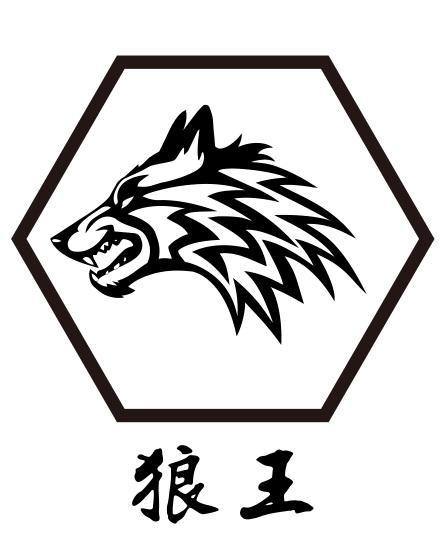 狼王v9.0授权最新版【附使用教程】