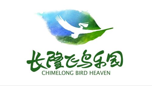 飞鸟乐园红包版