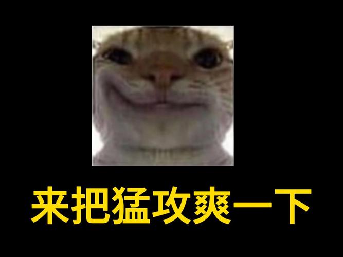 闪光鼠猛攻挣百万流鼻血版本